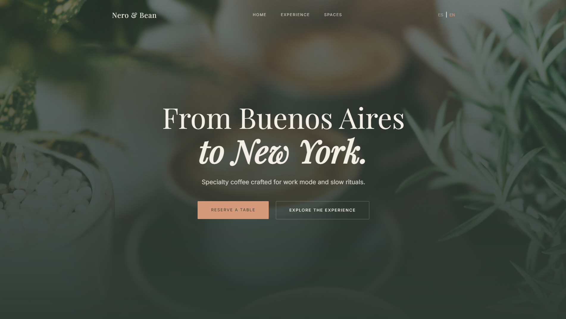 Nero & Bean — Branding + Web